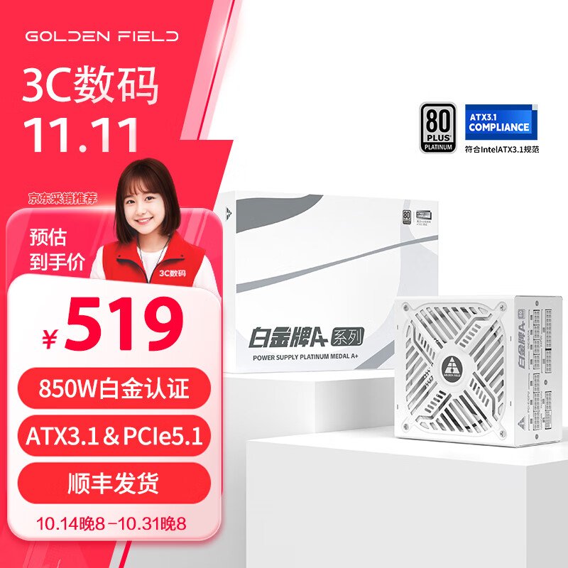 金河田 白金A+850W 全白版ATX3.1臺式電腦電源 PCIE5.1全模組設(shè)計/白金認證/全日系電容/壓紋線/支持4080S 白金牌A+850W白 【全日系電容/升級壓紋 519元