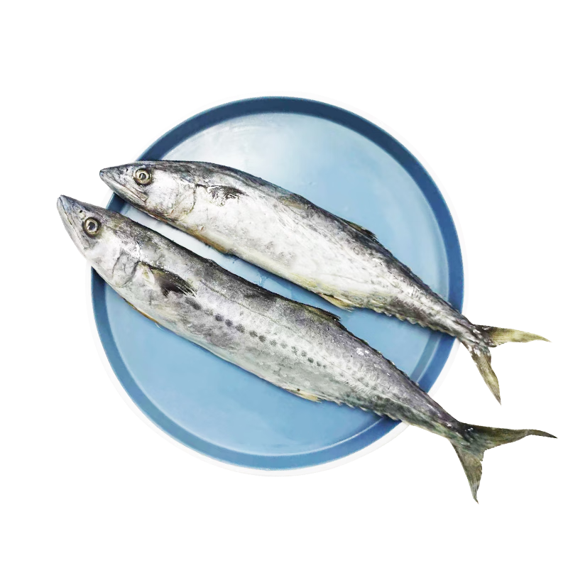 plus，需首購：蓋世 大連鲅魚 500g*3件 45.96元(參與200-20，湊后價格更低)