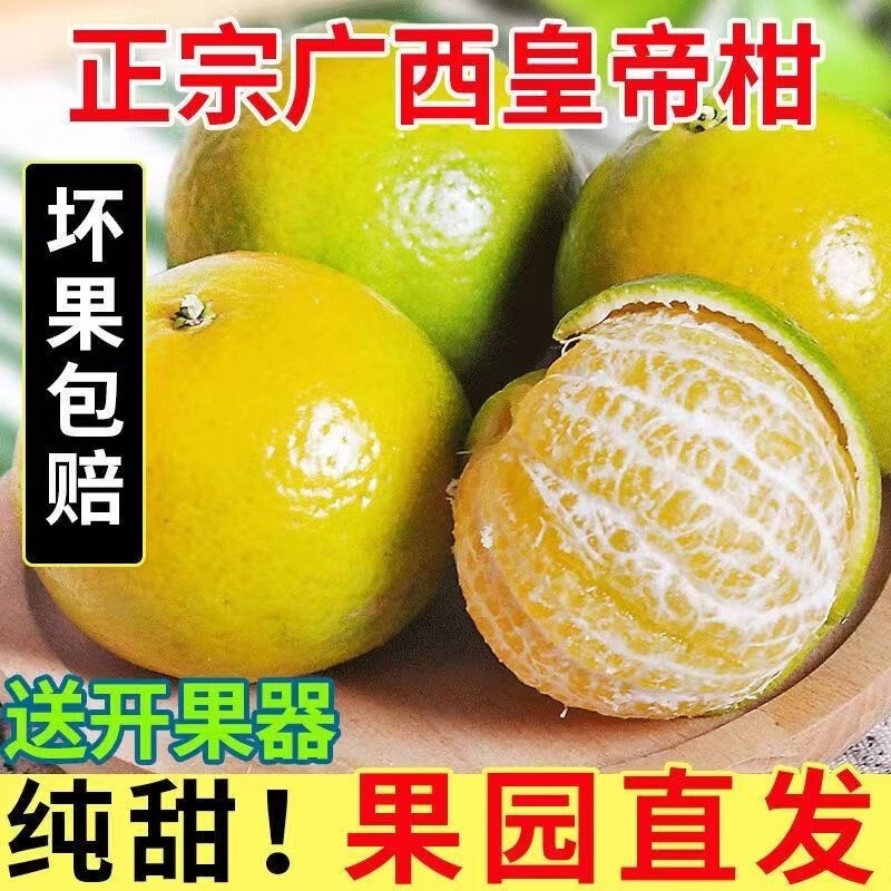 果迎鲜皇帝柑 5斤 新鲜广西皇帝贡柑 青皮橘子 柑橘桔子 50-55mm ￥19.9