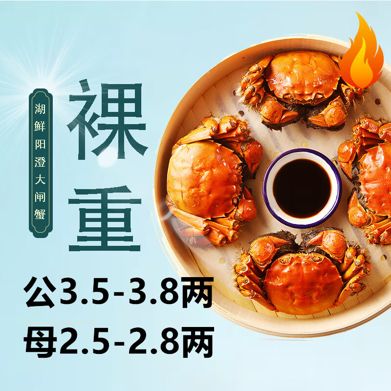 HUXIANYANGCHENG 湖鮮陽澄 大閘蟹 去繩足重 公3.5-3.8兩母2.5-2.8兩5對(duì)10只 券后156.22元