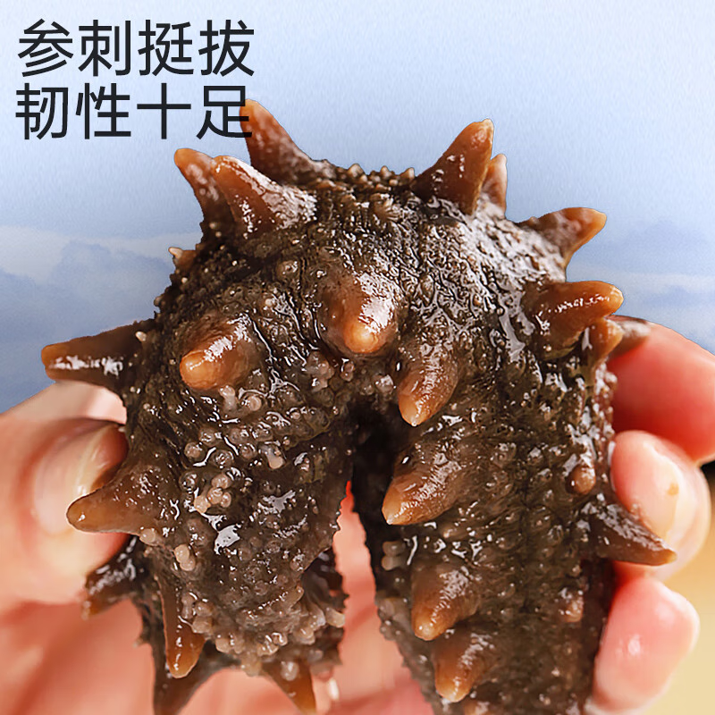 三只海豚 即食海參500g 30-38只/斤 63元（需領(lǐng)券）