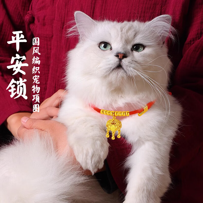 dipuer 迪普尔 猫项圈项链狗狗宠物长命锁猫咪项链铃铛挂绳狗牌猫牌饰品 L码 49元