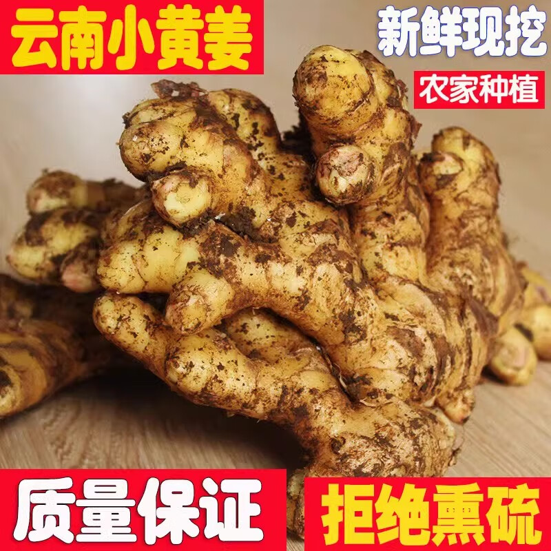 牛爱鲜 云南小黄姜新鲜蔬菜生姜老姜种子现挖沙姜 1000g 带泥土发 券后13.9元