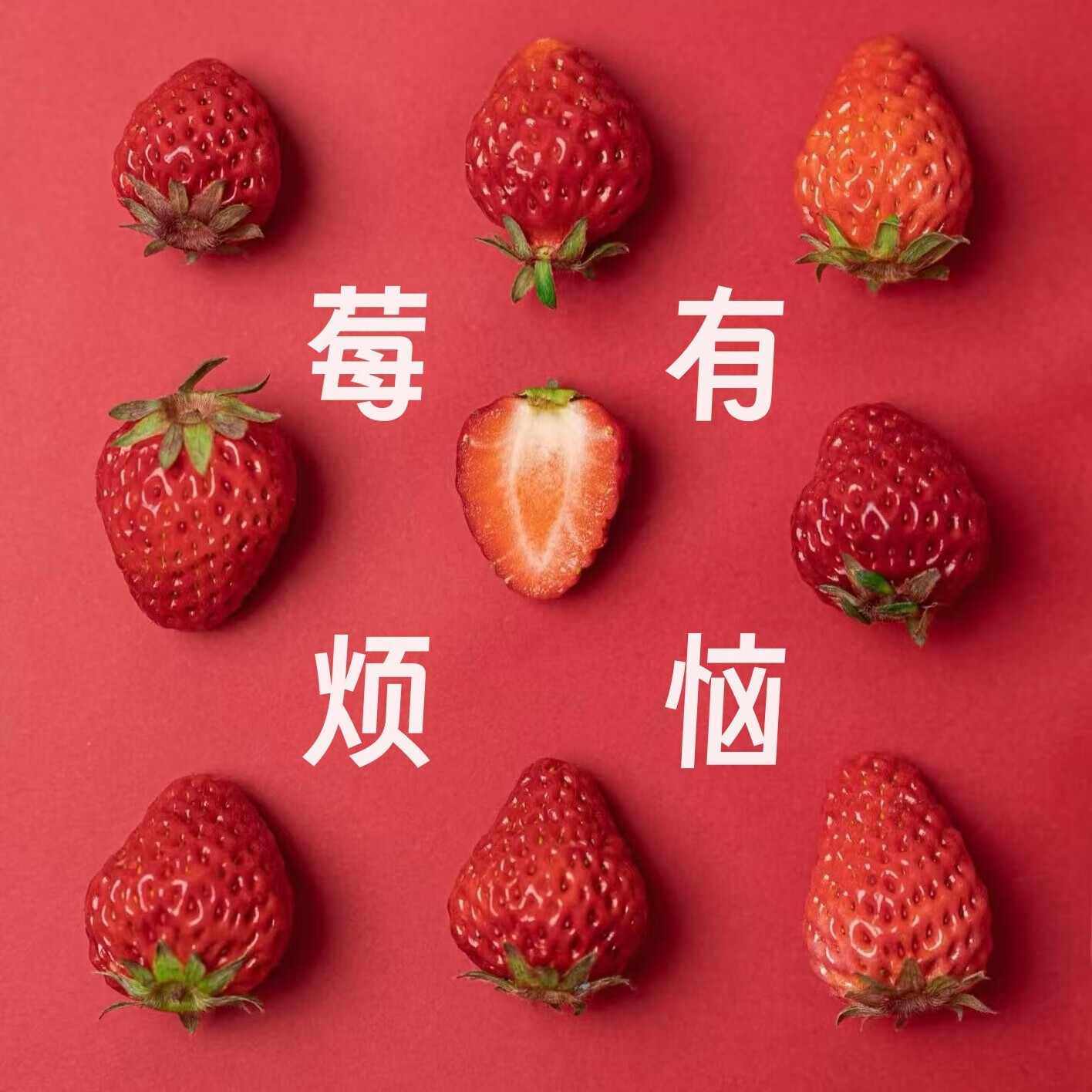 南有竹 紅顏99草莓 奶油草莓 1盒 11顆 果王25g+ 凈重300g 14.67元（需買4件，需用券）