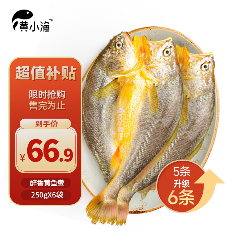 黄小渔 宁德醇香黄鱼鲞250g*6条(净重3斤)大黄花鱼生鲜海鲜鱼类 源头直发 券后64.42元