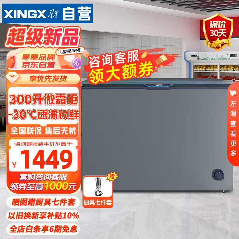 XINGX 星星 300升家用商用减霜净味薄门冰柜 BD/BC-300KE国家补贴 1199元