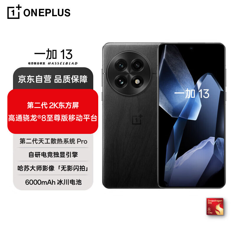 OnePlus 一加 13 5G手机 12GB+256GB 黑曜秘境 骁龙8至尊版 ￥4038.51