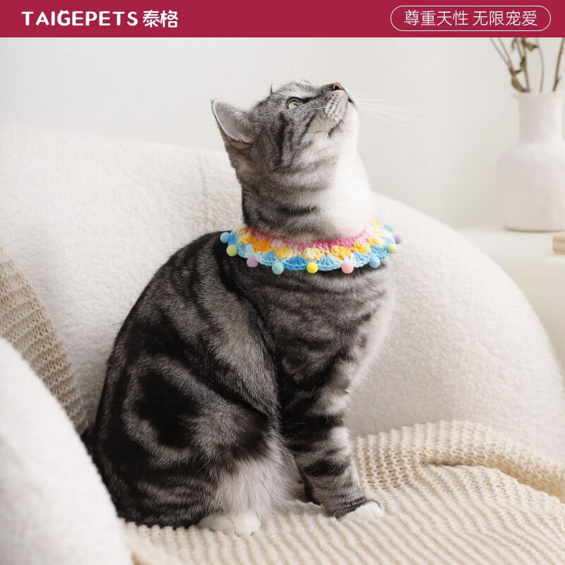 TAIGEPETS 貓咪圣誕圍巾裝飾 糖果彩虹項(xiàng)圈 XS五斤內(nèi) 13.9元