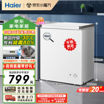 海爾 Haier 142升一級能效低霜小冰柜家用商用 冷藏柜冷凍柜小型租房用小冰箱小型冷柜BC/BD-142GHW9D