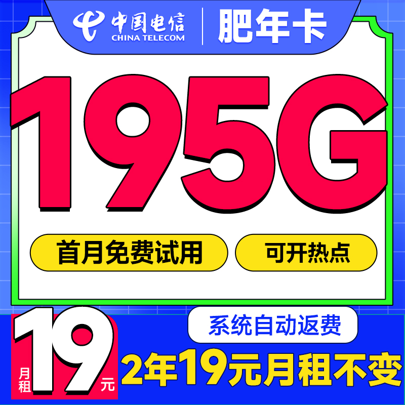 中国电信 肥年卡 2年19元/月（运营商自动返费+次月起195G流量+首月免租）激活送20E卡 0.1元（激活送20E卡）