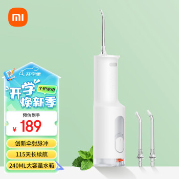 米家 MIJIA F300 冲牙器 烟纱白