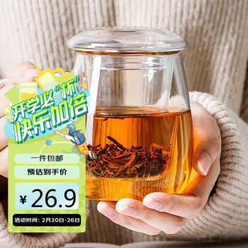 移动端、京东百亿补贴：物生物 JV0102153 茶杯 500ml