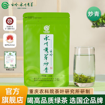 云嶺茶業(yè) YUNLING TEA 永川秀芽 炒青秀芽100g袋裝