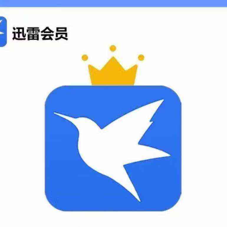 迅雷白金会员12个月 迅雷 迅雷白金年卡 68元