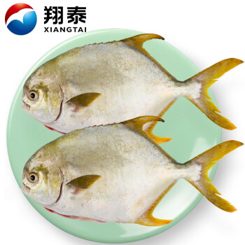 翔泰海南二去金鲳鱼700g/2条去鳃去内脏烧烤生鲜鱼类海鲜水产