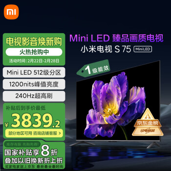 小米 Xiaomi S Mini系列 L75MA-SPL 液晶电视 75英寸 4K