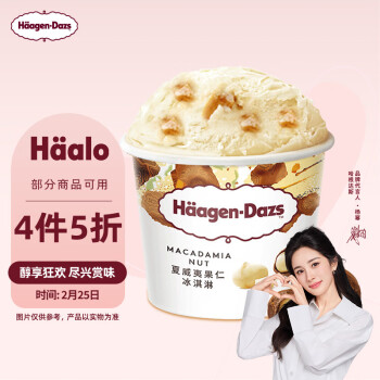 哈根达斯 Häagen·Dazs 夏威夷果仁冰淇淋 100ml(任选4件)