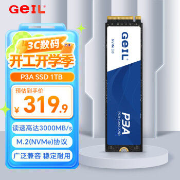 金邦 GeIL 固態(tài)硬盤2500MB/S P3A系列 1TB