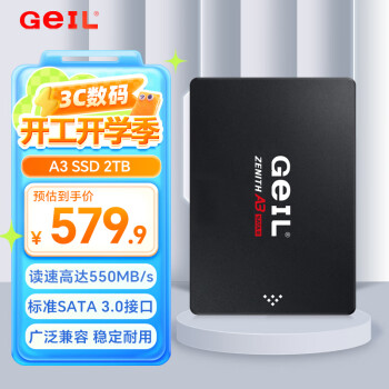 金邦 GeIL 2TB SSD固態(tài)硬盤550MB/S