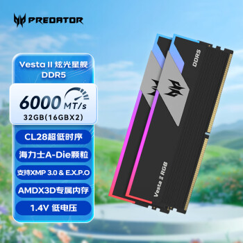 宏碁掠奪者 炫光星艦系列 海力士A-Die DDR5 6000MHz RGB 臺(tái)式機(jī)內(nèi)存 燈條 石耀黑 32GB 16GBx2 C28