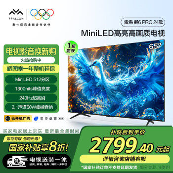 雷鸟 鹤6 PRO 24款 电视65英寸 MiniLED液晶平板电视机 65英寸