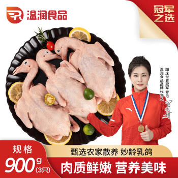 溫潤(rùn) 食品 乳鴿凈重900g（300g*3只）