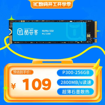 銓興 P300 酷芯客 NVMe M.2固態(tài)硬盤 256GB（PCIe4.0