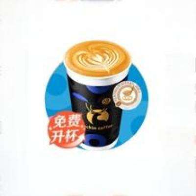 瑞幸咖啡 耶加雪菲系列3選1 免費(fèi)升大黑杯 14天有效 僅自提 luckin coffee 11.9元