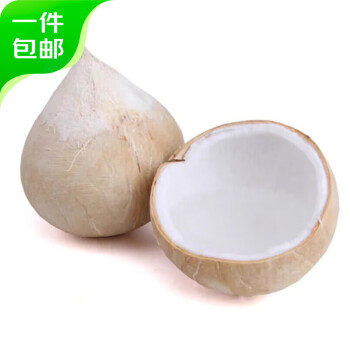 京鲜生 海南椰皇 6个装 单果500g起 新鲜椰子热带水果 源头直发