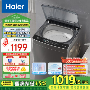 海尔 Haier 波轮洗衣机全自动家用 12公斤大容量 升级除螨 抗菌 全桶换风 强力洗 EB120Z33Mate1