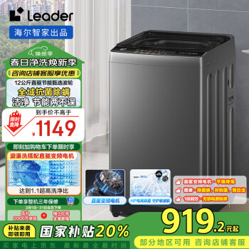 Leader 海爾智家波輪洗衣機全自動家用 12公斤大容量一級能效 漩瀑洗1.1洗凈比 @B120BM533