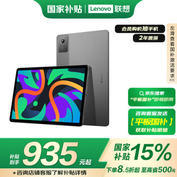 联想 Lenovo 小新Pad 2024 11英寸平板电脑 学习办公 娱乐影音 莱茵护眼 8+256G灰