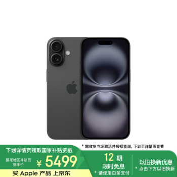 蘋果 Apple iPhone 16 5G手機(jī) 256GB 黑色