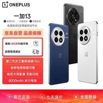 移动端、京东百亿补贴：一加 OnePlus 13 16GB+512GB 黑曜秘境 高通骁龙8至尊版 6000mAh 冰川电池 AI智能游戏手机 旗舰影像性能手机