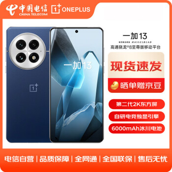 一加 OnePlus 13 16GB+512GB 藍調時刻 #高通驍龍?8至尊版 6000mAh冰川電池 AI游戲手機WY