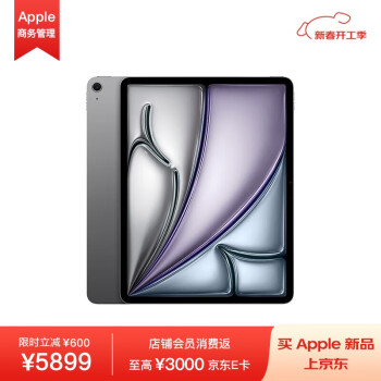 蘋果 Apple iPad Air 13 英寸 M2芯片 2024年新款平板電腦128GB WLAN版/MV273CH/A 深空灰色*企業(yè)專享