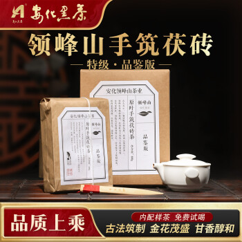 安化黑茶 安化正宗黑茶品鑒版禮盒裝400g 4年陳