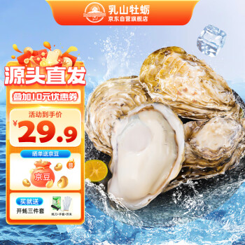 乳山牡蛎 鲜活乳山生蚝2XL号 净重3斤装 10-15只年货礼盒