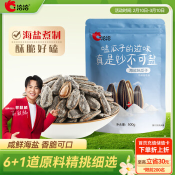 洽洽海鹽味瓜子500g*1袋大包裝葵花籽炒貨團(tuán)購(gòu)休閑零食小吃新風(fēng)味