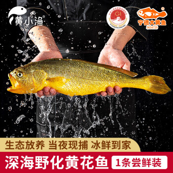 黃小漁 寧德深海冰鮮野化大黃魚350g/條 黃花魚生鮮魚類海鮮源頭直發(fā)