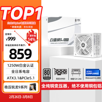 金河田 额定1250W白金认证 雪装 ATX3.0电脑电源 全日系电容/PCIE5.0/支持4090显卡/JD版