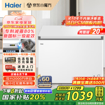 海尔 Haier 300升一级能效低霜家用商用冰柜冰箱大冷柜BC/BD-300GHPDZ 减霜80% 300L