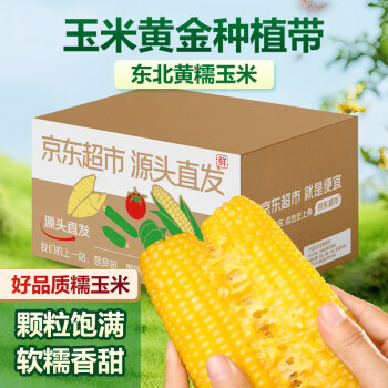 京鲜生 东北黄糯玉米棒220g×8根 甜黏玉米 多种包装随机发货 源头直发