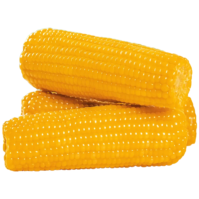 京鲜生 东北黄糯玉米棒220g×8根 甜黏玉米 15.91元 包邮（需领券）