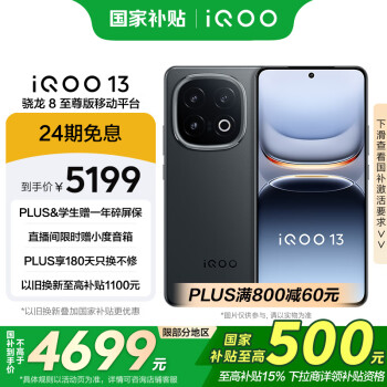iQOO 13 16GB+1TB 5G手机 赛道版 骁龙8至尊版