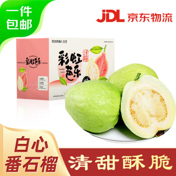 京鲜生 生吃脆爽白心芭乐 净重3斤装单果150g  番石榴水果 源头直发