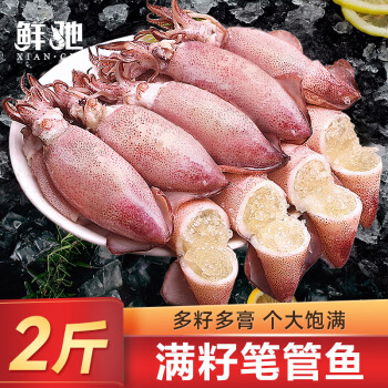 鲜驰 山东鲜冻满籽笔管鱼 800g