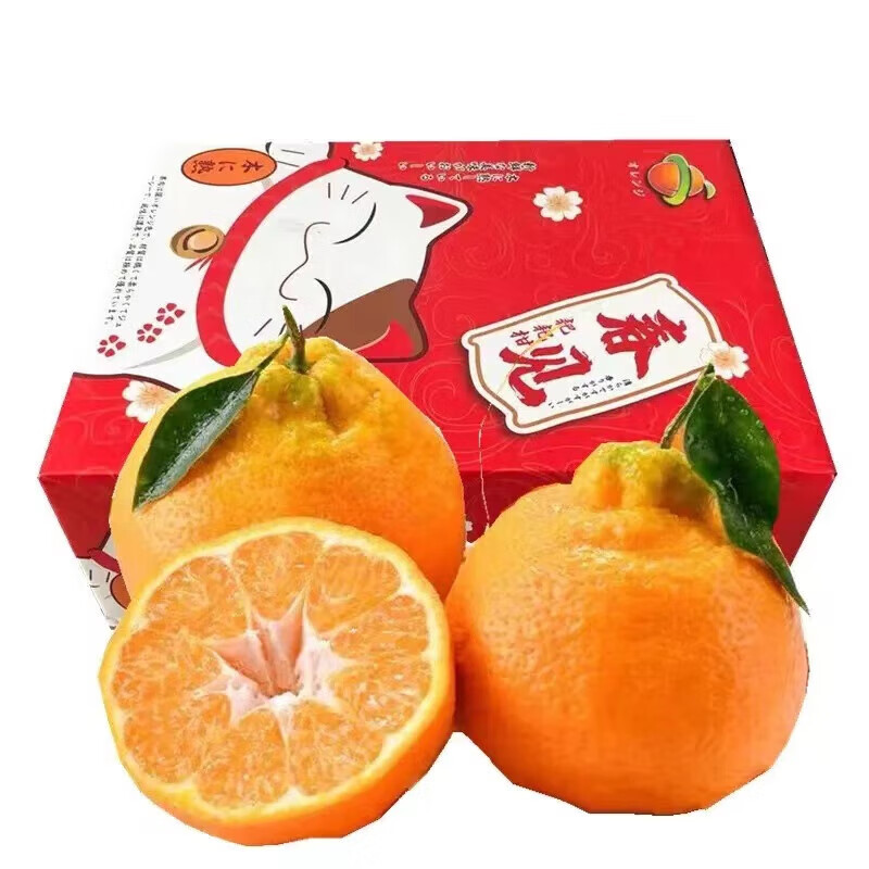 格雷缘 四川春见耙耙柑 一级特大果 4.5斤装 80mm+ 21.2元（需买2件，需用券）