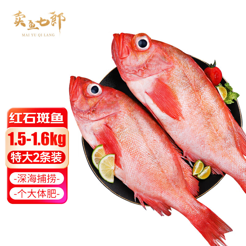 賣魚七郎 紅石斑魚1.5-1.6kg共2條海捕鮮活冷凍大眼魚整條富貴魚生鮮魚類 59.3元