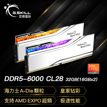 芝奇 32GB(16Gx2)套装 DDR5 6000频率 台式机内存条-皇家戟EXPO版RGB灯条-银色/C28